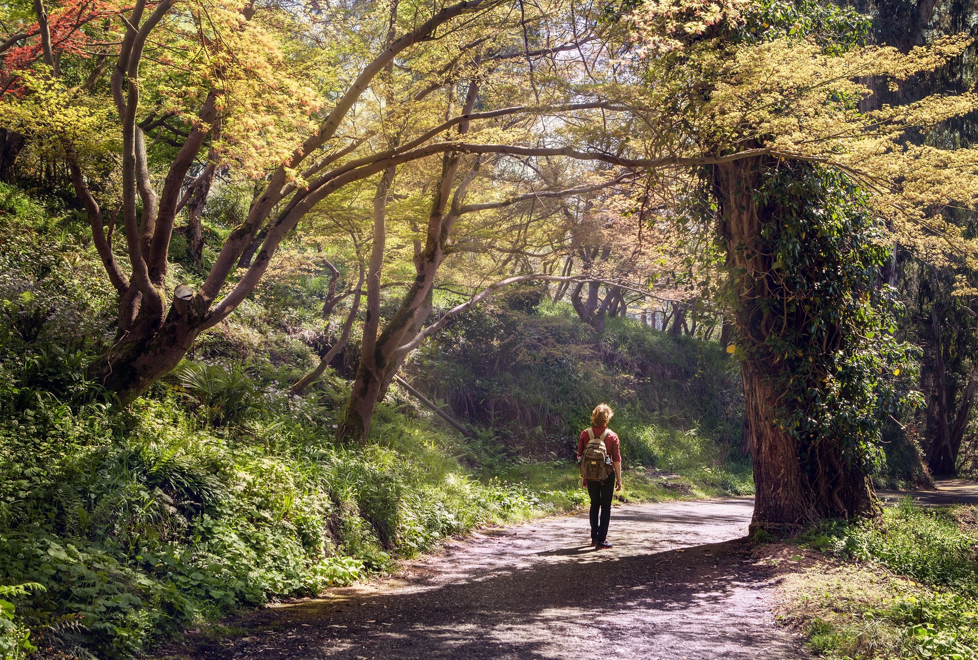 Persona walking through ghanging autumn leaves on Nantucket, promoting mindfulness and personal growth.